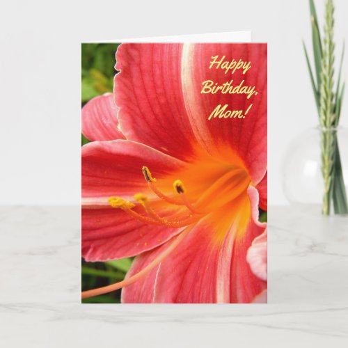 Daylily Lily  Cherry Red  Birthday For Mother Card