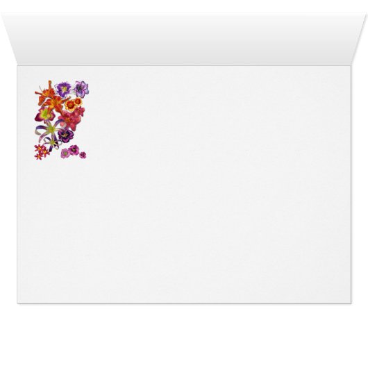 Daylily 'Matchless Fire' (Inside Horizontal (Bottom))