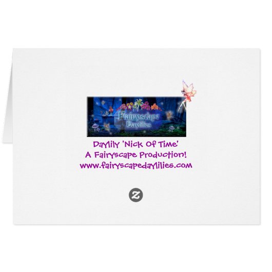 Daylily 'Nick Of Time' (Back Horizontal)