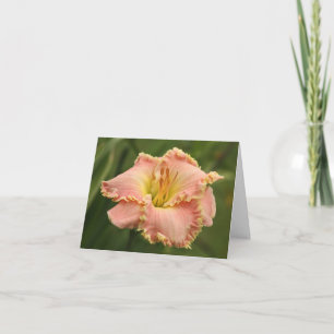 Daylily Note Card
