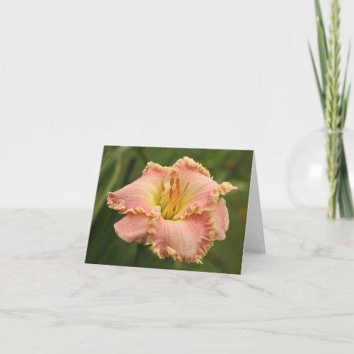 Daylily Note Card