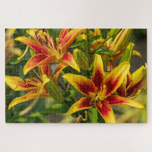 Daylily Orange Canadian Flower Photography Jigsaw Puzzle