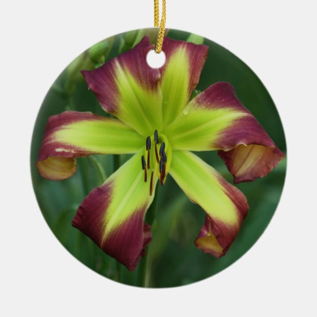 Daylily Ornament (Front)