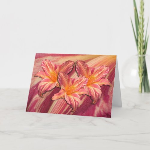 Daylily Pink Stripes Card