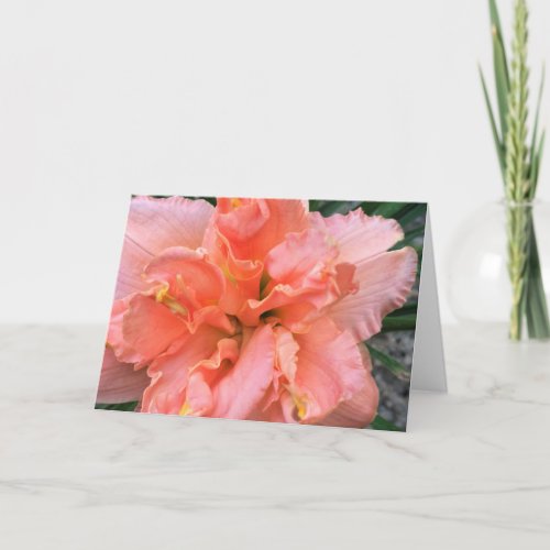 Daylily Siloam Double Classic Card