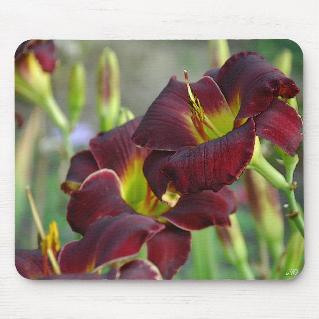 Daylily 'Vintage Bordeaux' Mouse Pad (Front)