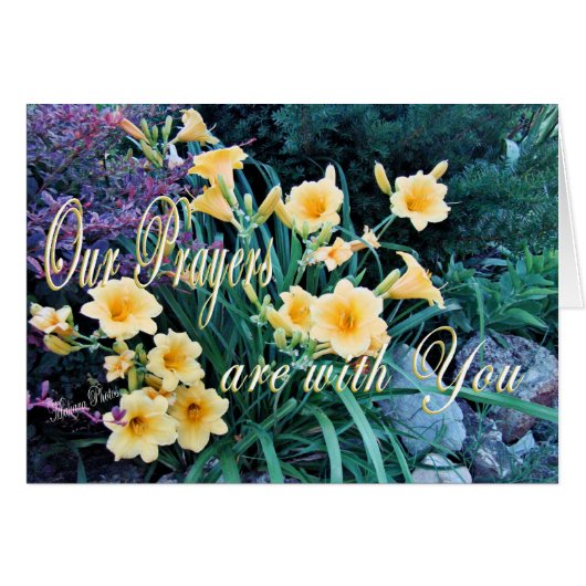 DayLilyPrayer Card-customize Cards (Front Horizontal)