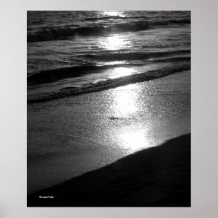 Day's End at Dog Beach B/W Poster