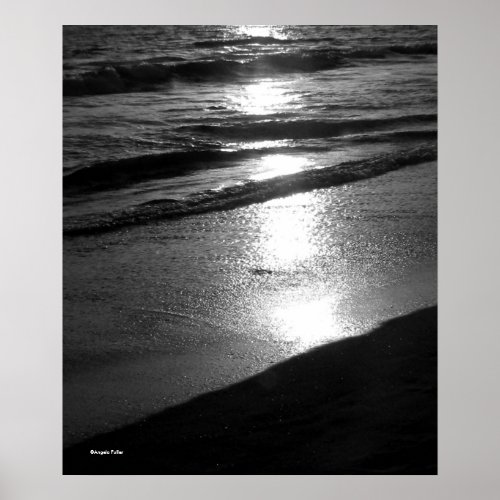 Days End at Dog Beach BW Poster
