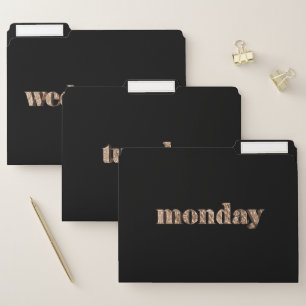 Days of The Week Monday Tuesday Wednesday Gold File Folder