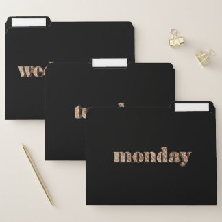 Days of The Week Monday Tuesday Wednesday Gold File Folder