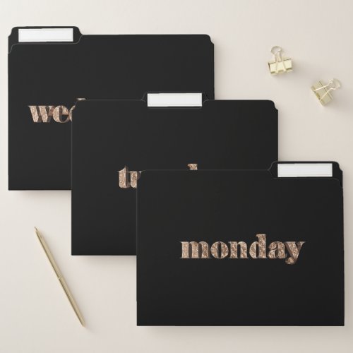 Days of The Week Monday Tuesday Wednesday Gold File Folder