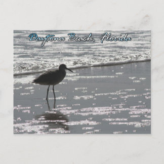 Daytona Beach Postcard