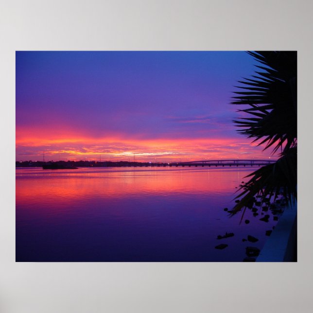 Daytona River Tropical Palm Tree Sunset Poster (Front)