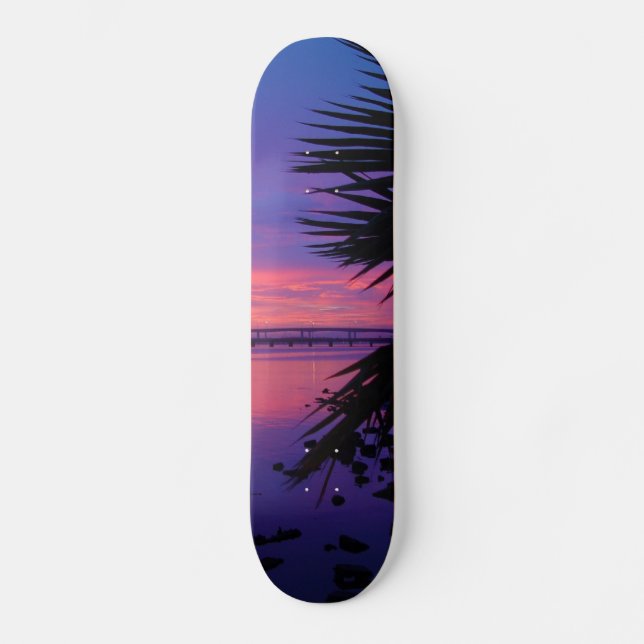 Daytona River Tropical Palm Tree Sunset Skateboard (Front)