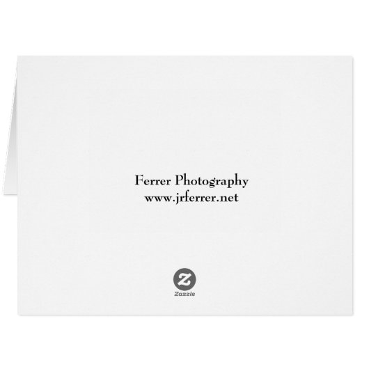 Dayton's Bluff Sunrise (Back Horizontal)