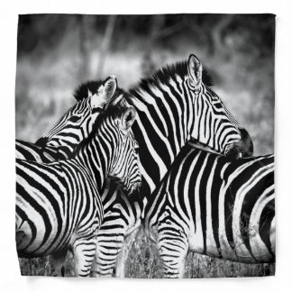 Dazzle of Zebra Bandana