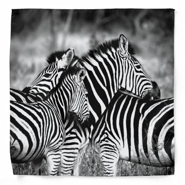 Dazzle of Zebra  Bandana (Front)