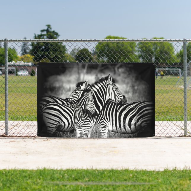 Dazzle of Zebra  Banner (Insitu)