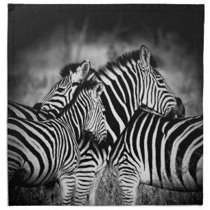 Dazzle of Zebra  Cloth Napkin