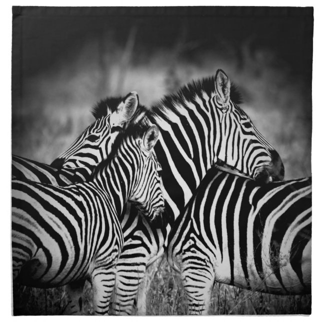 Dazzle of Zebra  Cloth Napkin (Front)