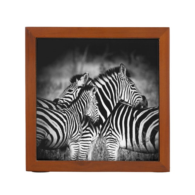 Dazzle of Zebra  Desk Organizer (Front)