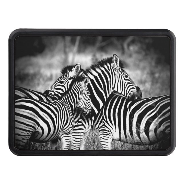 Dazzle of Zebra  Hitch Cover (Front)