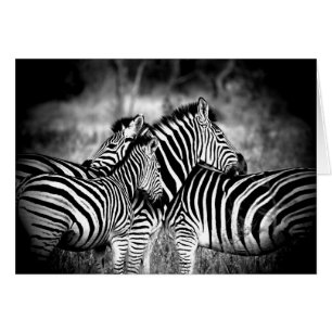 Dazzle of Zebra Thinking of You Custom Inside Cards