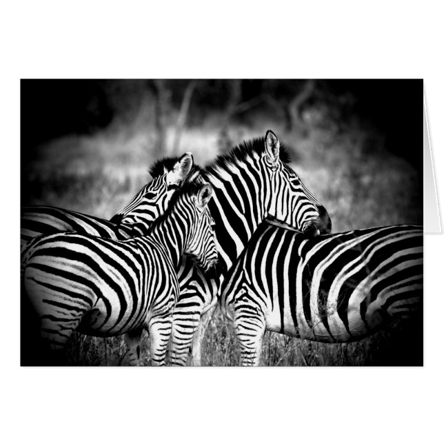 Dazzle of Zebra Thinking of You Custom Inside Cards (Front Horizontal)