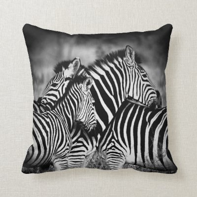 Dazzle of Zebra  Throw Pillow