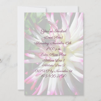 Dazzling Dahlia Flower Party  Invitation