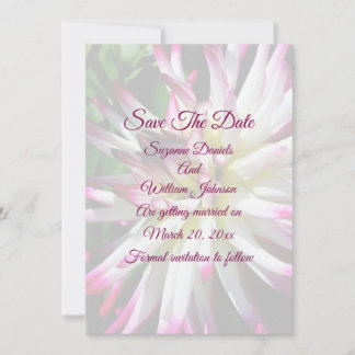 Dazzling Dahlia Flower Wedding  Save The Date