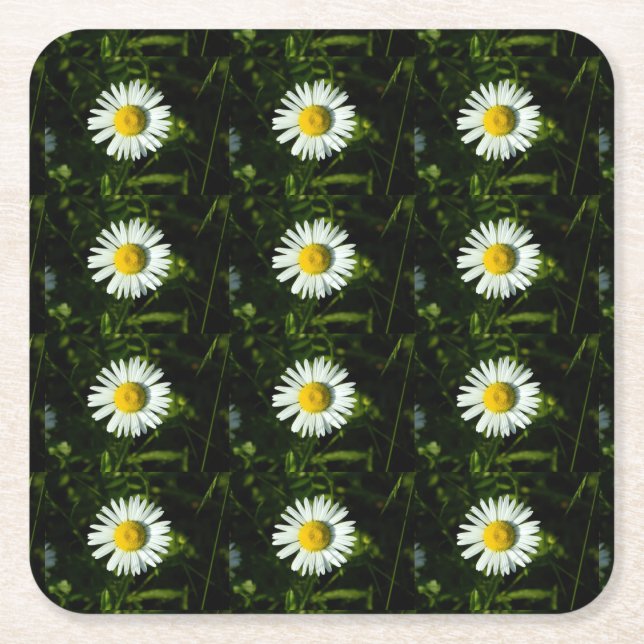Dazzling Daisy Paper Coaster (Front)