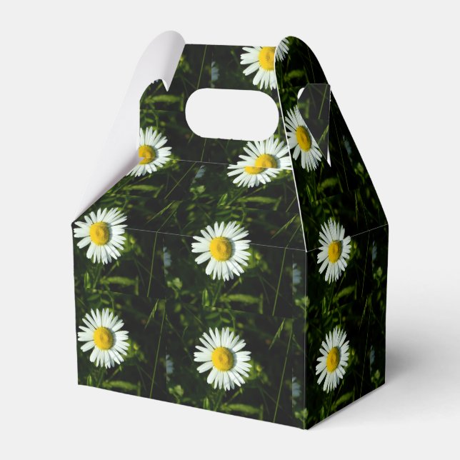 Dazzling Daisy Party Favor Box (Front Side)