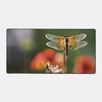 Dazzling Dragonfly Desk Mat by Siberianmom at Zazzle
