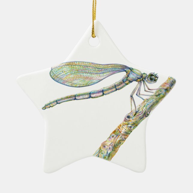 Dazzling Dragonfly on a Branch Ceramic Ornament (Front)