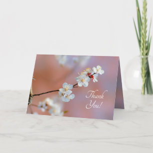 Dazzling Japanese Apricot Blossoms Letterpress Thank You Card