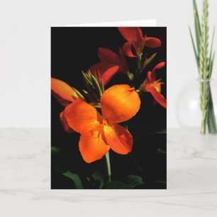 Dazzling Orchid Greeting Card