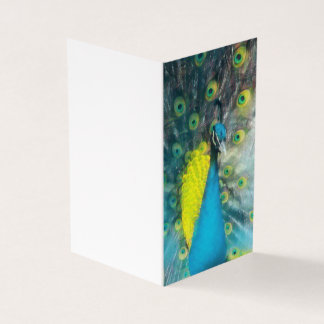 Dazzling Peacock - blank gift tag set