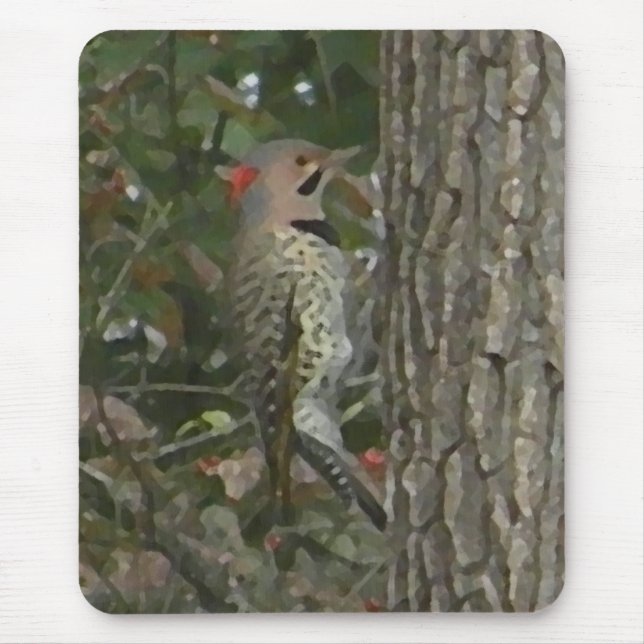 DC- Flicker Woodpecker Bird Mousepad (Front)
