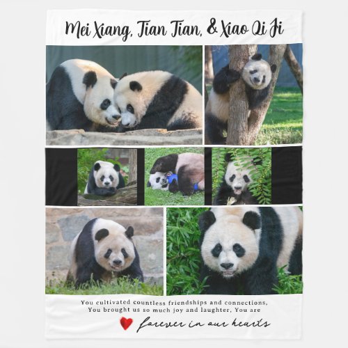 DC Giant Pandas In Our Hearts Blanket