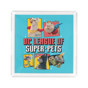 DC League of Super-Pets Character Panels Acrylic Tray