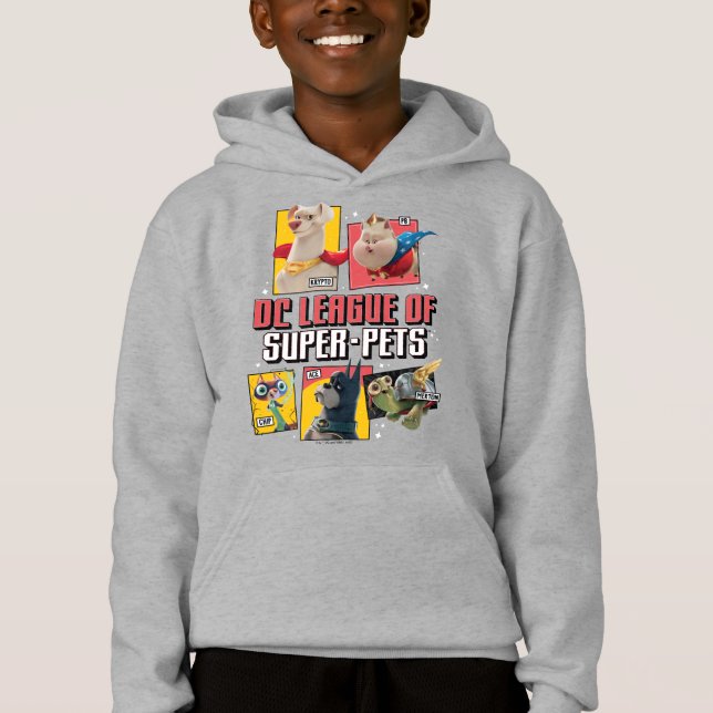 DC League of Super-Pets Character Panels Hoodie (Front)
