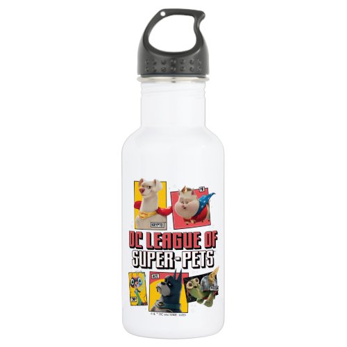 DC League of Super_Pets Character Panels Stainless Steel Water Bottle