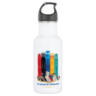 DC League of Super-Pets Metropolis Towers Stainless Steel Water Bottle