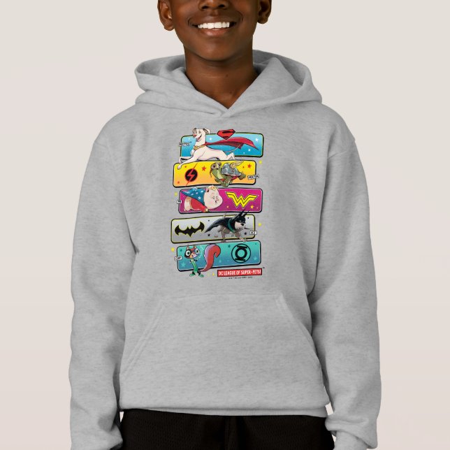 DC League of Super-Pets Panels Hoodie (Front)
