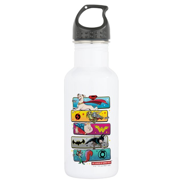 DC League of Super-Pets Panels Stainless Steel Water Bottle (Front)
