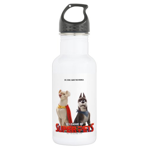 DC League of Super_Pets Theatrical Art Stainless Steel Water Bottle
