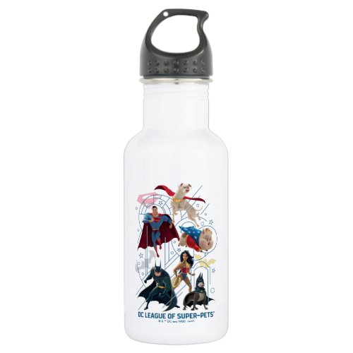 DC Trinity Heroes  Super_Pets Stainless Steel Water Bottle