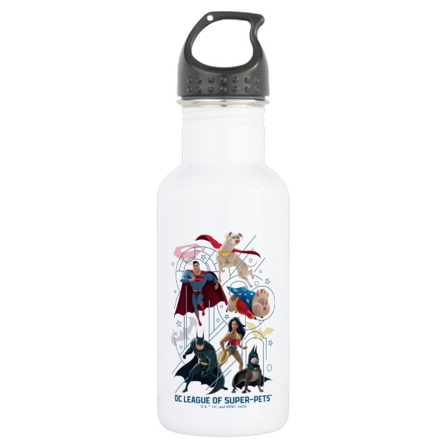 DC Trinity Heroes & Super-Pets Stainless Steel Water Bottle (Front)